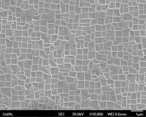 Title: Single Crystal Up Close and Personal Submitted by Rachel White - Graduate Student Metallurgical and Materials Engineering Description: Single crystal CMSX-8, a nickel based superalloy, etched to reveal the microstructure and examined in a scanning electron microscope